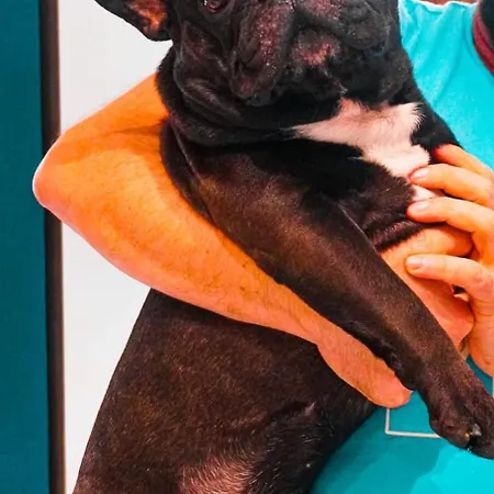 Hotel Boutique Ferrara