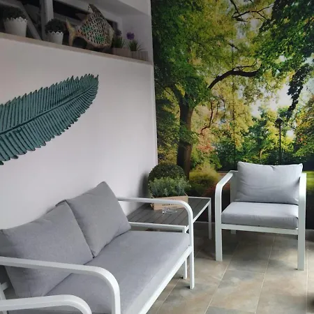 Boutique فيرّارا