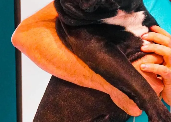 Отель Boutique Феррара